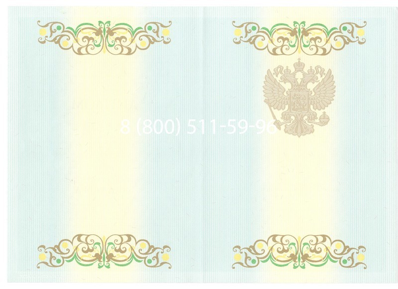 Купить Диплом бакалавра 2012-2013 годов в Ноябрьске