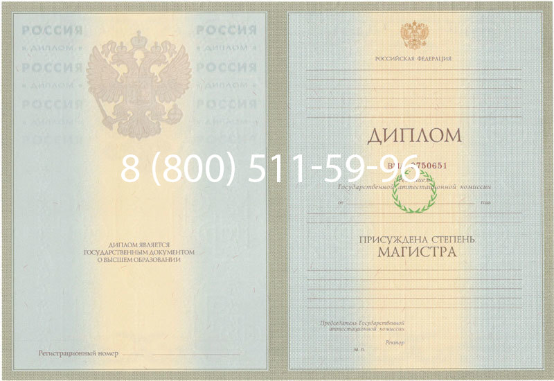 Купить Диплом магистра 2003-2009 годов в Ноябрьске