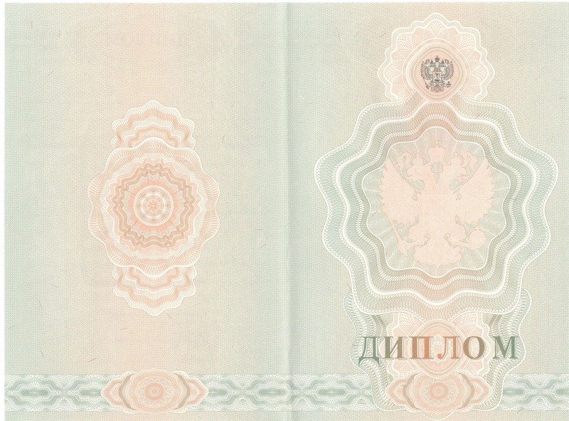 Купить Диплом о начальном образовании  2007-2009 годов в Ноябрьске