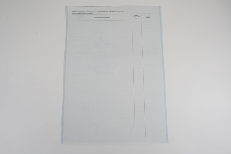 Диплом о начальном образовании  2007-2009 годов в Ноябрьске