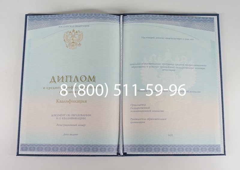 Диплом колледжа (Спецбланк) 2014-2024 года в Ноябрьске