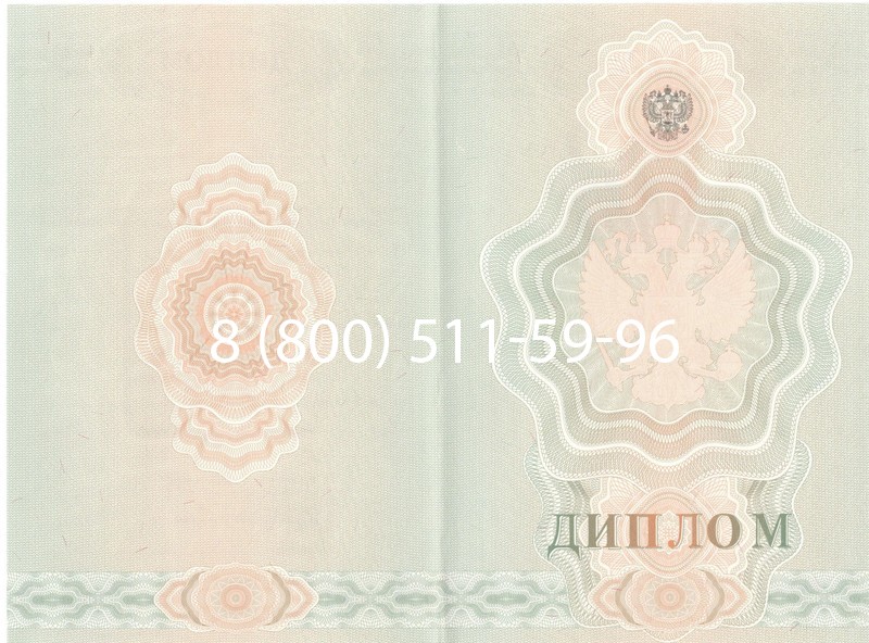 Купить Диплом училища 2007-2009 годов в Ноябрьске Купить Диплом училища 2007-2009 годов в Ноябрьске